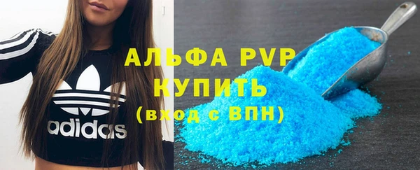 прущий лед Инсар